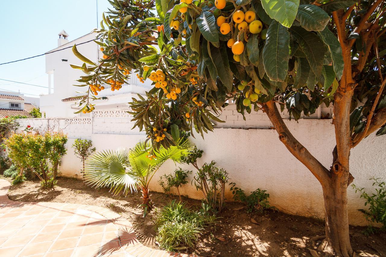 Los Pinos 23 Villas Casasol 네르하 외부 사진